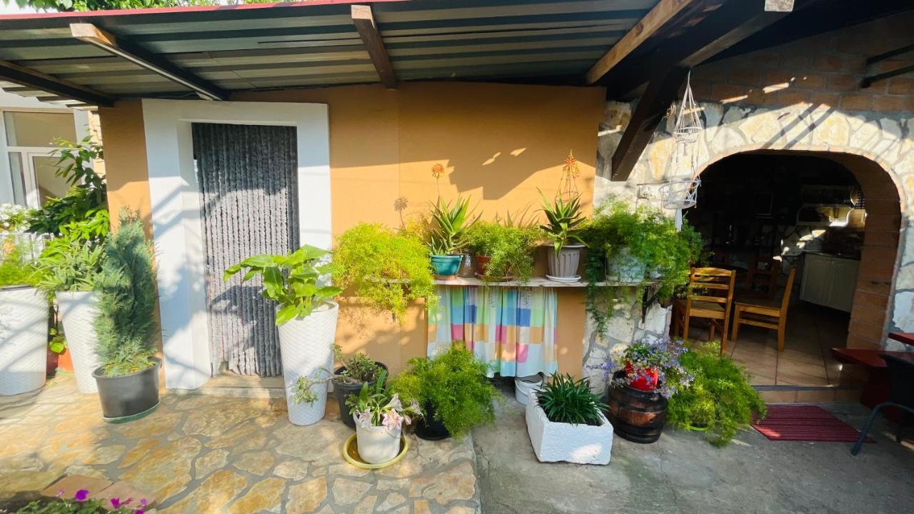 Colorful And Happy Apartment Sukosan - With Parking מראה חיצוני תמונה