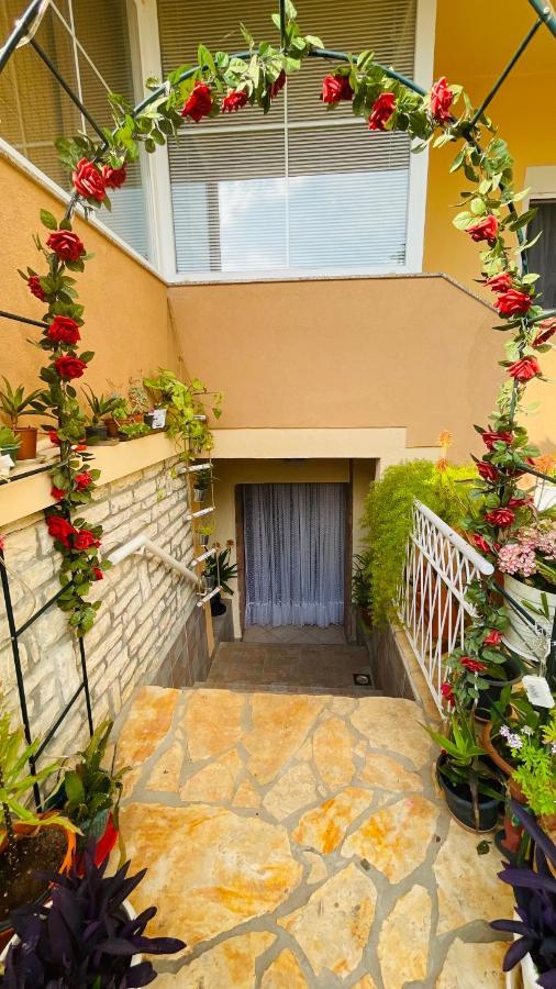 Colorful And Happy Apartment Sukosan - With Parking מראה חיצוני תמונה